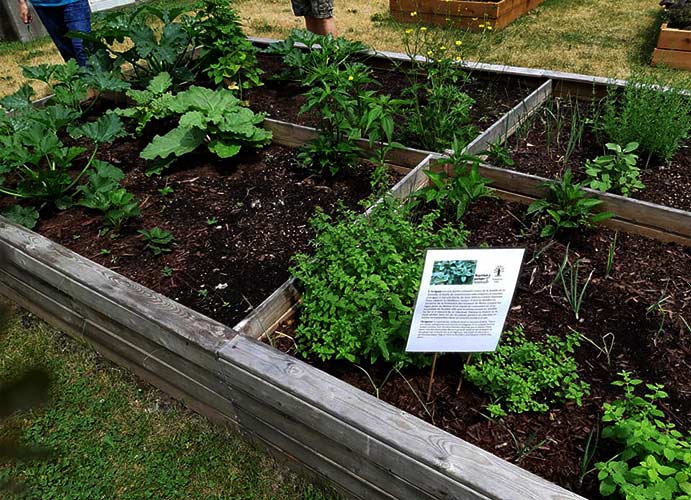 St. Philip’s Church garden