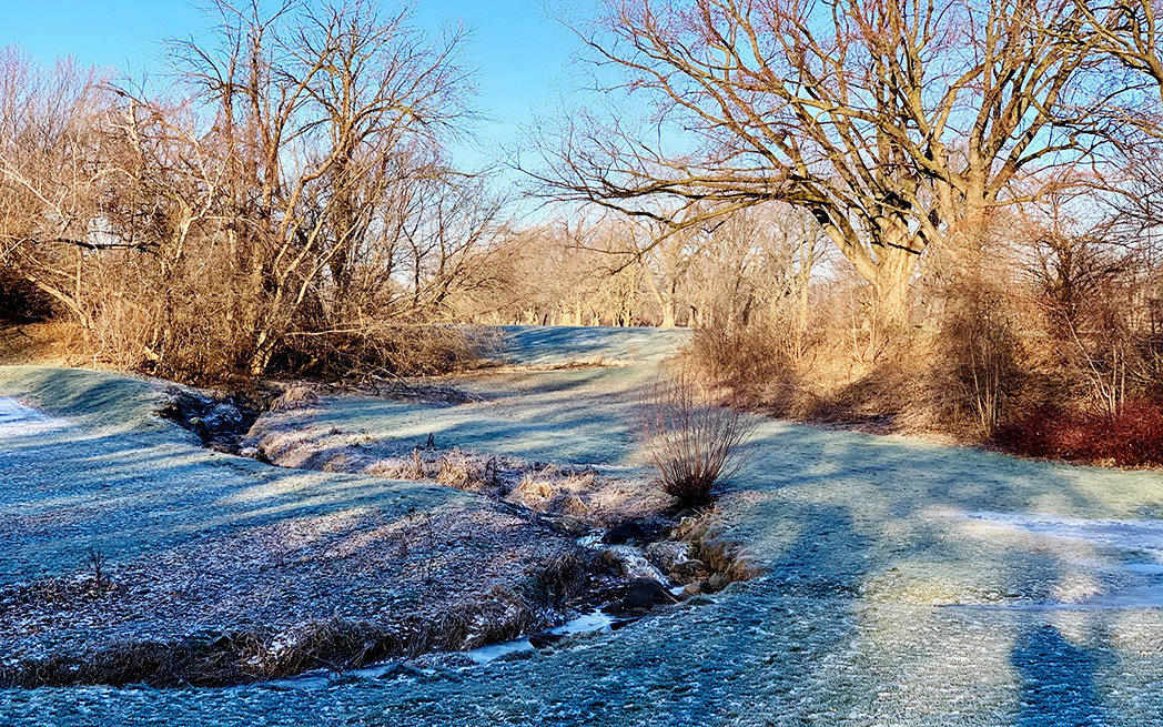 St. Pierre River at Meadowbrook in Spring