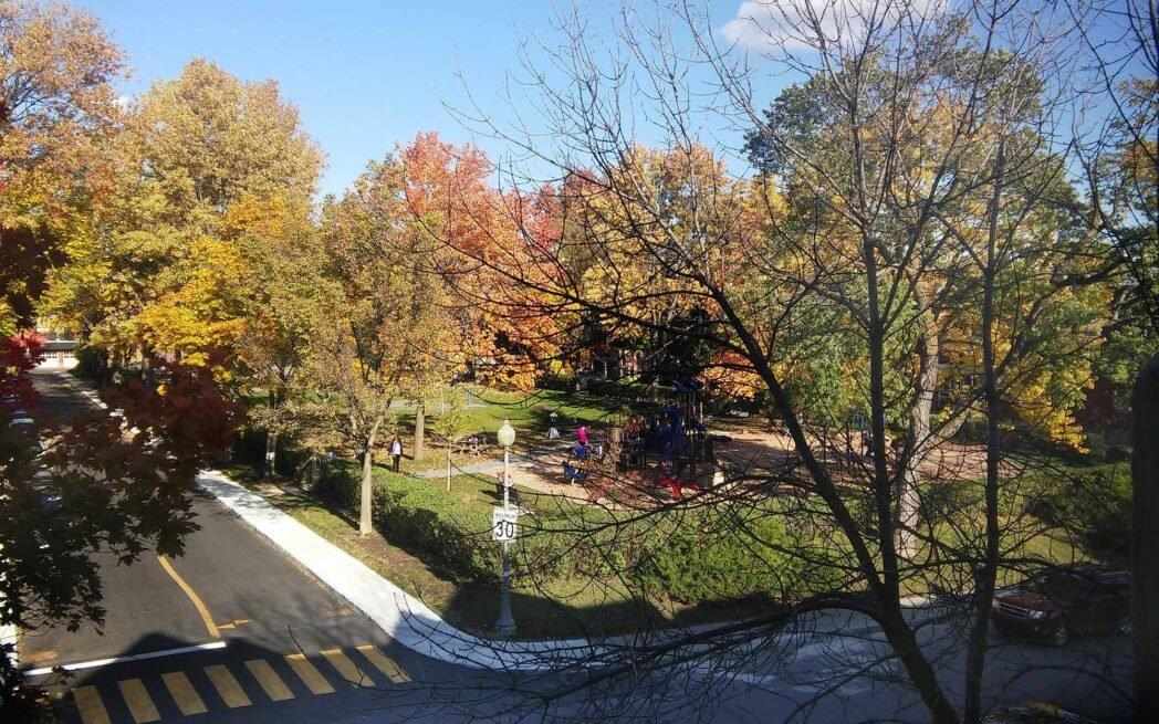 Parc Stayner Park, Westmount - photo: Andrew Burlone – WestmountMag.ca