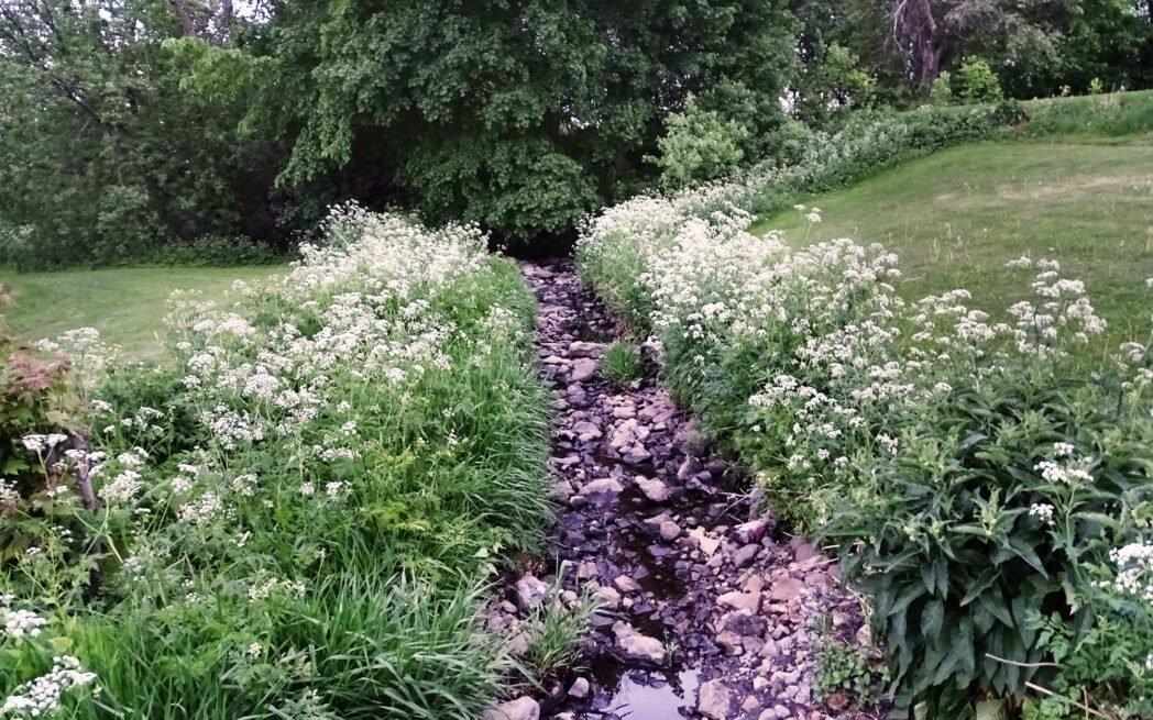 St. Pierre River - WestmountMag.ca