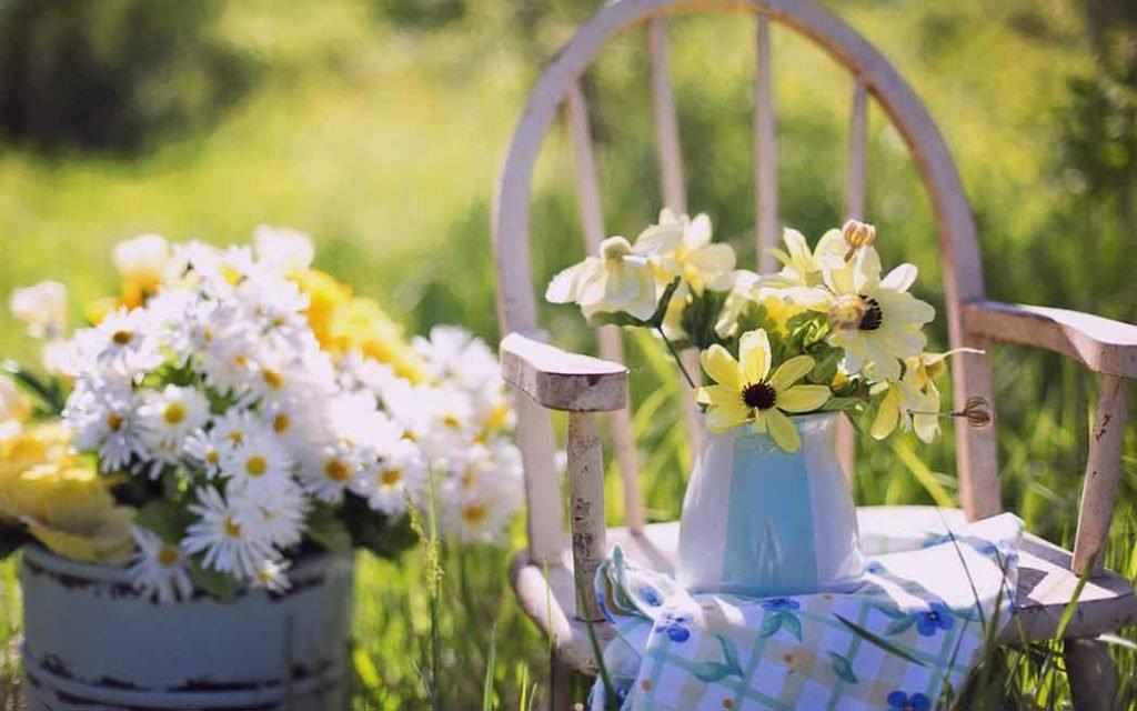 Summertime coop1906 – WestmountMag.ca