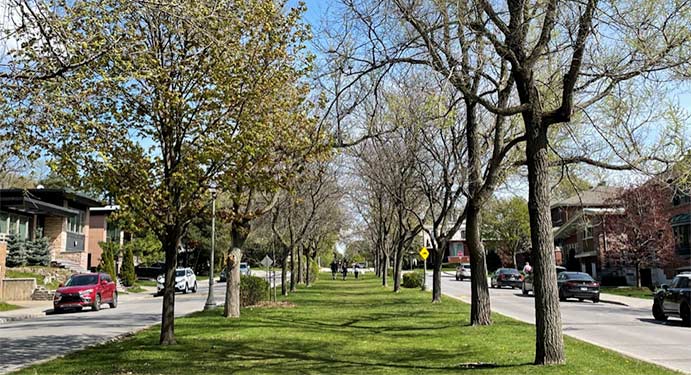 Surrey Gardens Westmount