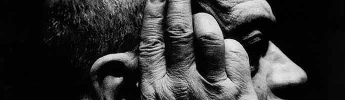 Festival International du Film sur l’Art (FIFA) - The Dragonfly of Chicoutimi - WestmountMag.ca