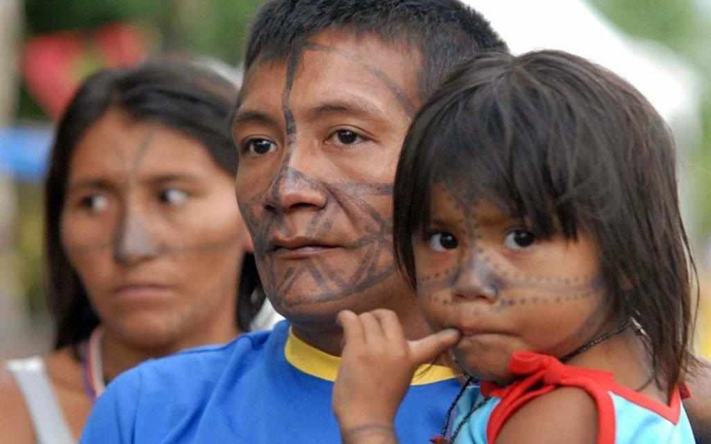 Tucuxi tribe family - WestmountMag.ca