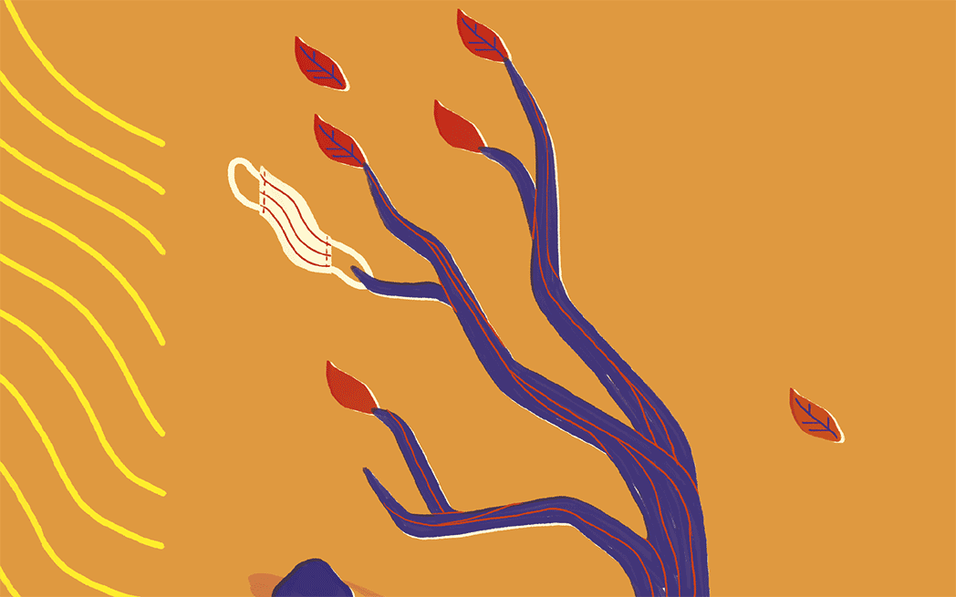 Vents du Nord - SMCQ – WestmountMag.ca