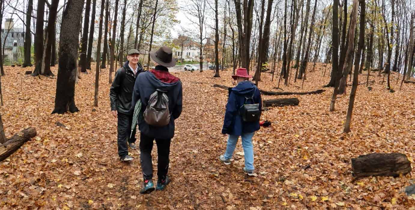 fall walk in Summit Woods