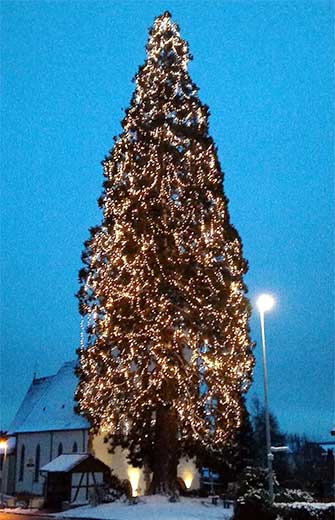 Weihnachtsbaum, Frankfurt, Germany