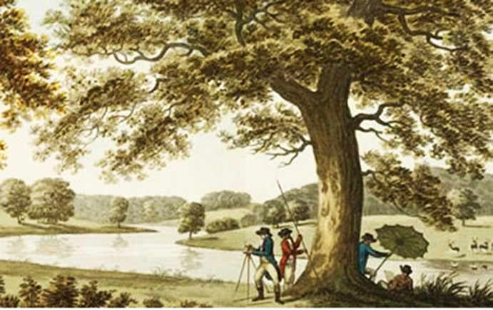 Welbeck Estate illustration