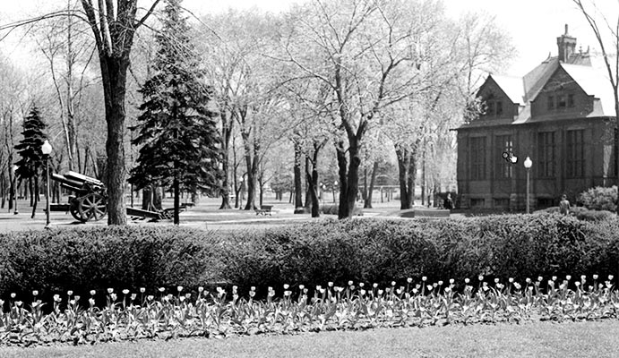 Artillery on display in the park by the Westmount Library