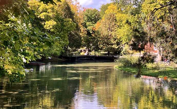 Westmount Park in the Fall