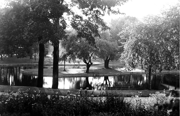 Willows on the lagoon at Westmount Park