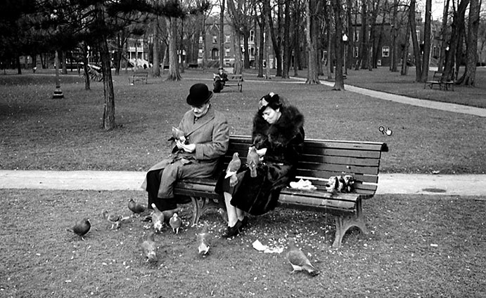 Original Westmount Park benches
