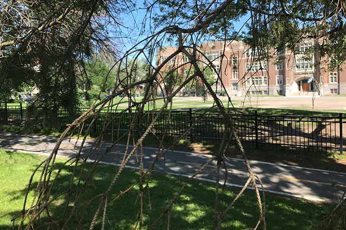 Description Westmount Park dead branches - WestmountMag.ca Copy Link https://www.pooya.westmountmag.ca/wp-content/uploads/westmount-park_branches_westmountmag.jpg Required fields are marked * Video URL Here you can link a video. Only YouTube or Vimeo! ATTACHMENT DISPLAY SETTINGS Alignment Link To Size 1 selected Clear 