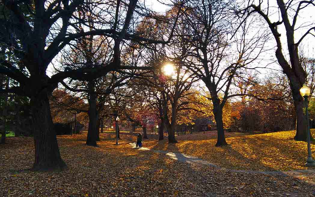 Parc Westmount Park, Westmount QC - photo: Andrew Burlone – WestmountMag.ca