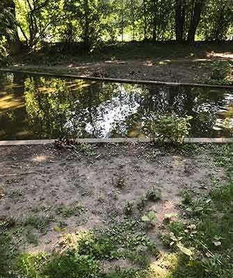 Westmount Park bare patches and weeds -WestmountMag.ca