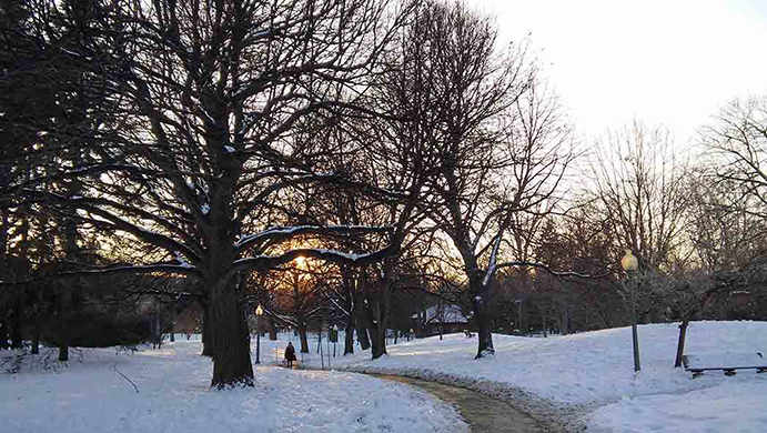 winding path through Westmount Park