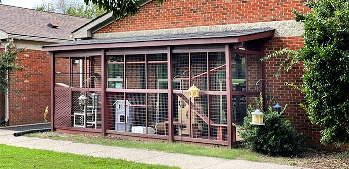 Williamson County Animal Center catio