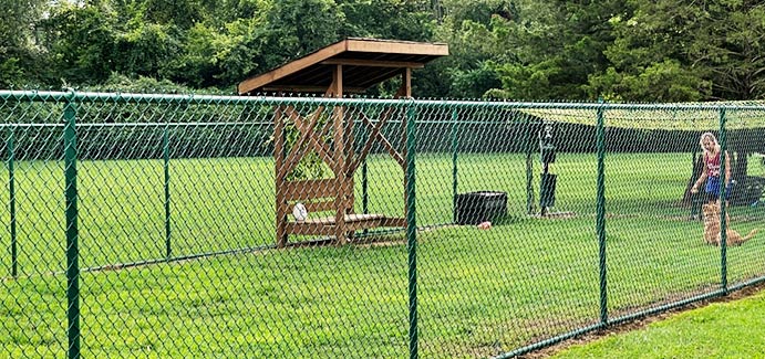 Williamson County Animal Center dog run