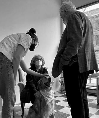 The Yellow Door Generations